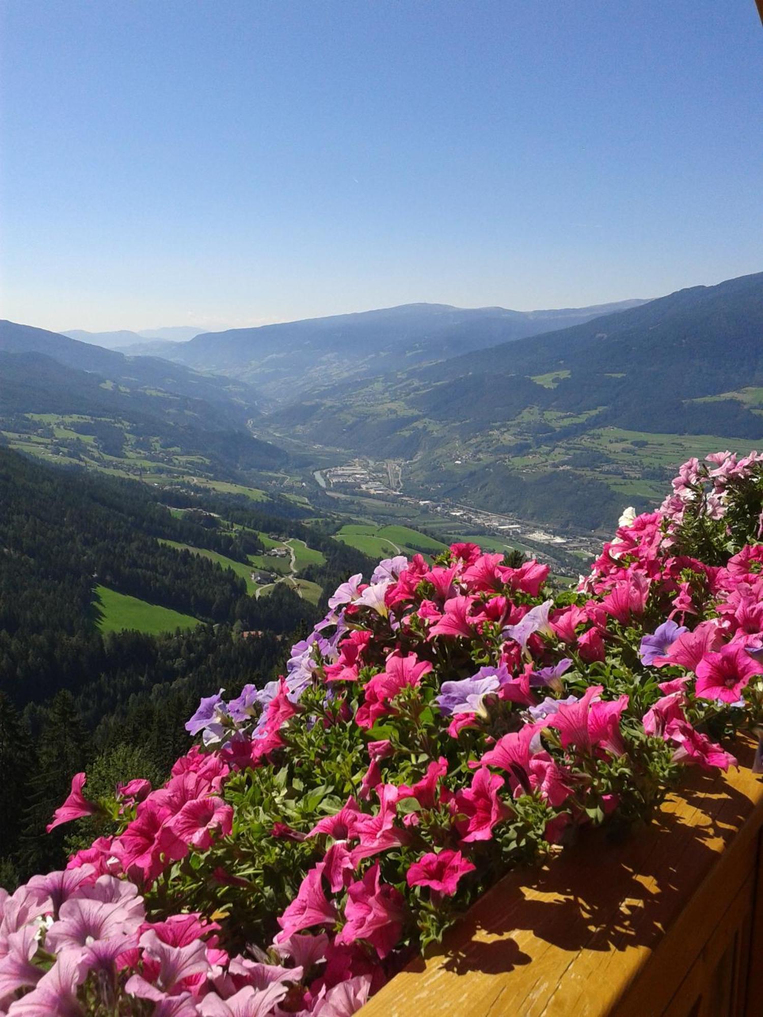 Kaserhof Wandern- Alleinlage - Ruhig- Top Aussicht ブレッサノーネ エクステリア 写真
